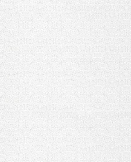 Picture of Rice 2 - 383573