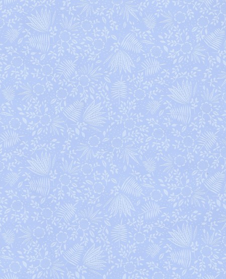 Picture of Rice 2 - 383543