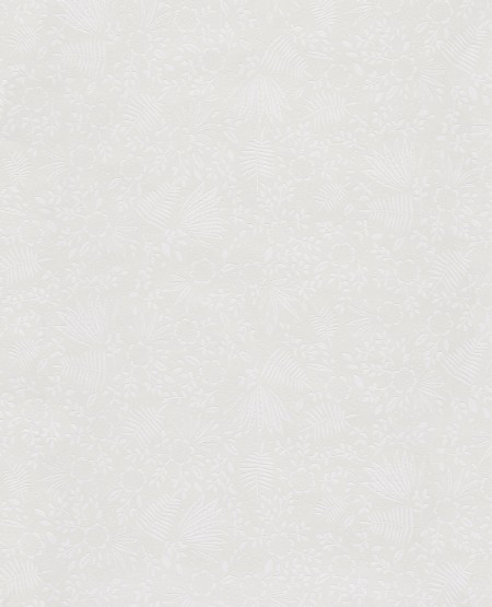 Picture of Rice 2 - 383540