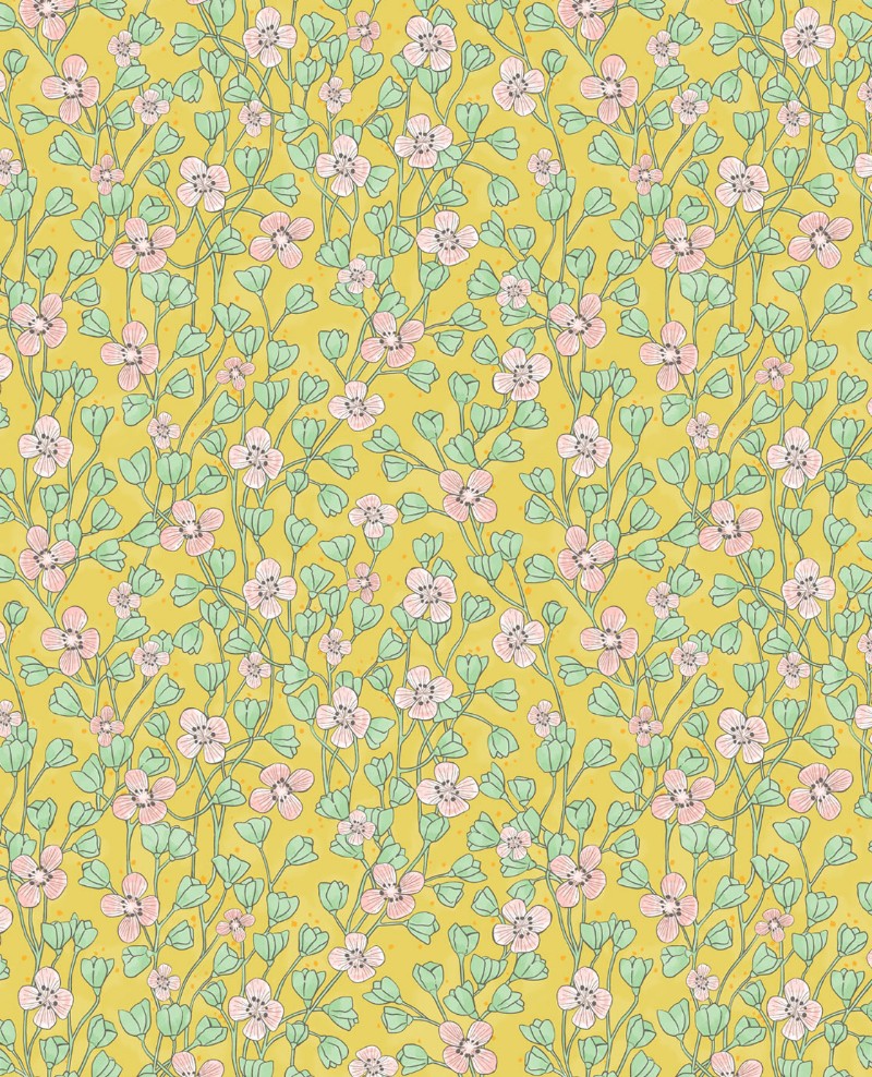 Picture of Rice 2 - 383536