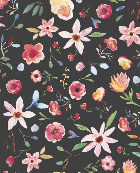 Picture of Rice 2 - 383522