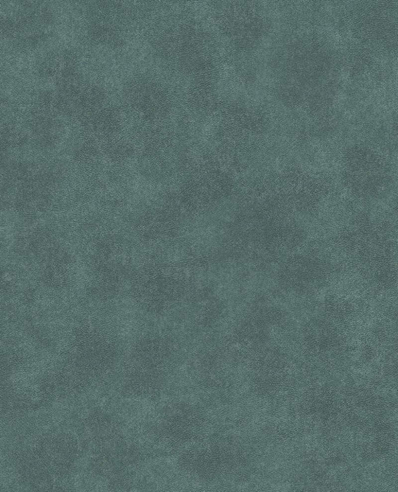 Bild på Reunited - 372517