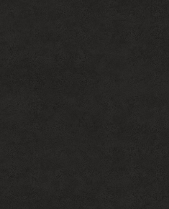 Bild på Reunited - 372521