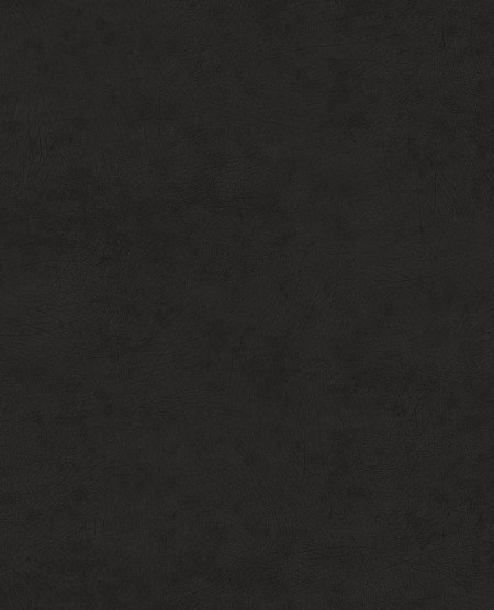 Picture of Reunited - 372521