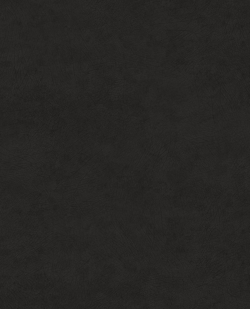 Picture of Reunited - 372521