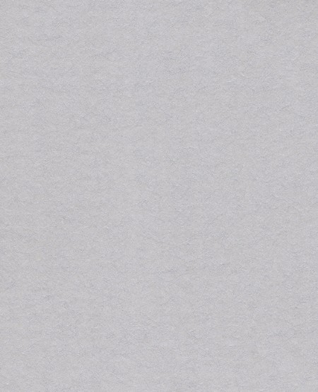 Picture of Reunited - 372574