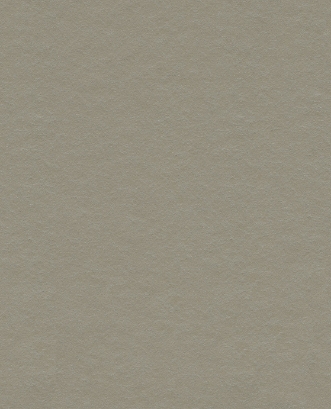 Bild på Reunited - 372575