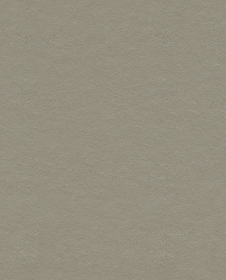 Picture of Reunited - 372575