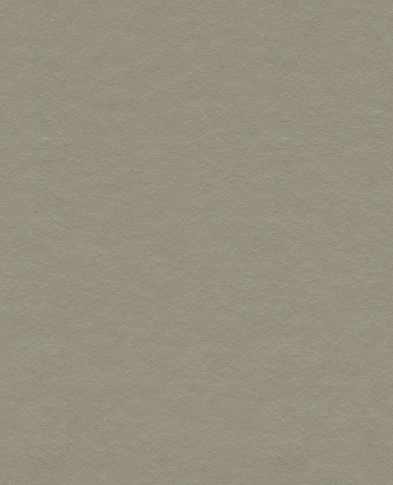 Picture of Reunited - 372575