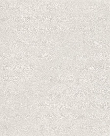 Picture of Reunited - 372518