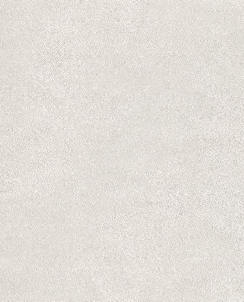 Picture of Reunited - 372518