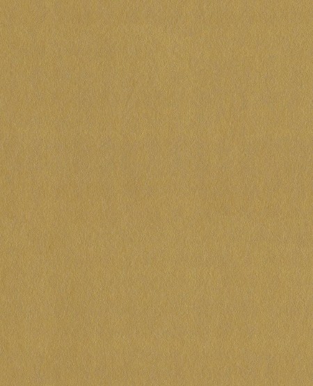 Picture of Reunited - 372576