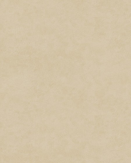 Picture of Reunited - 372520