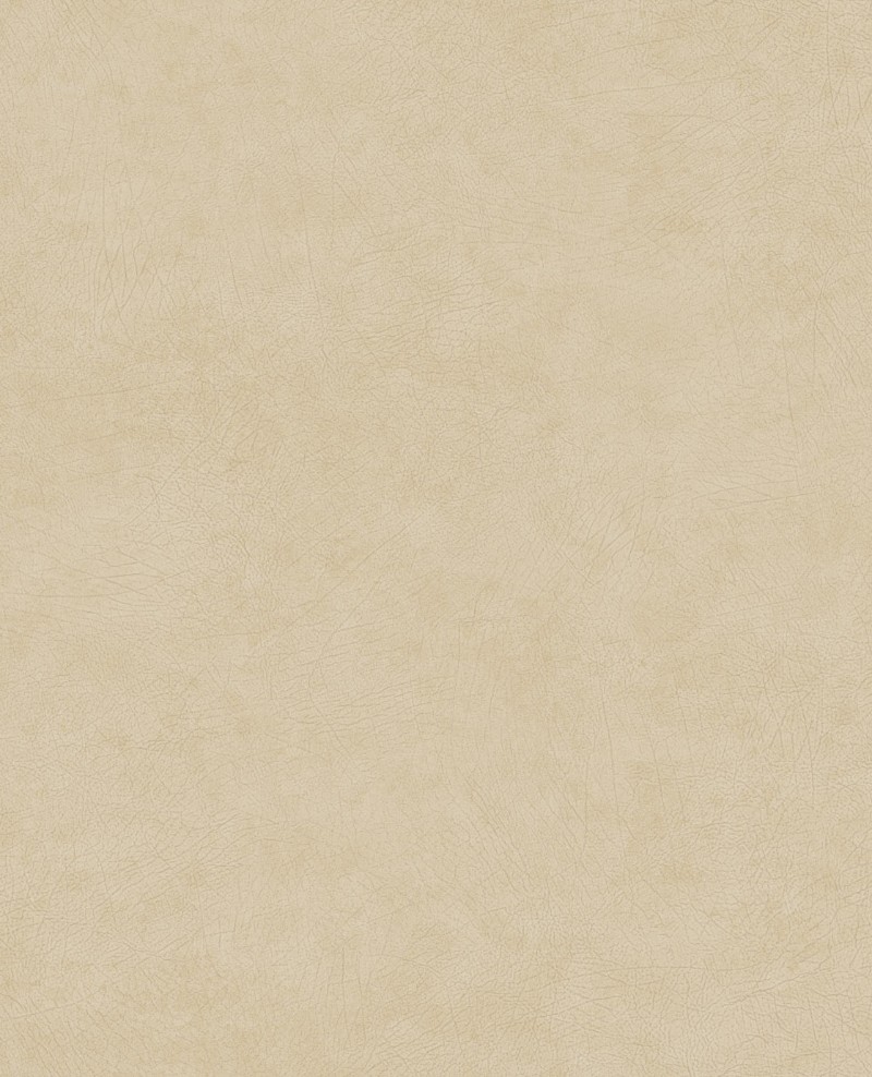 Picture of Reunited - 372520