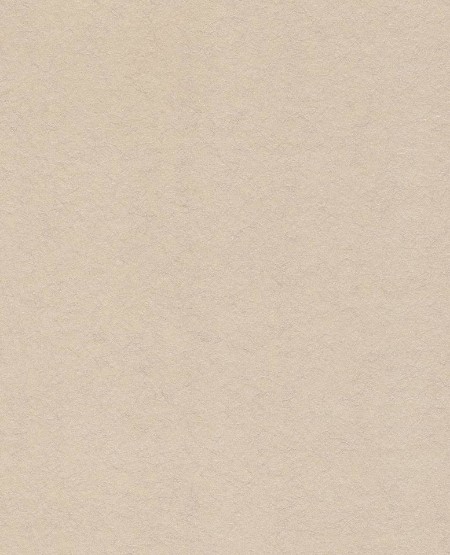 Picture of Reunited - 372573