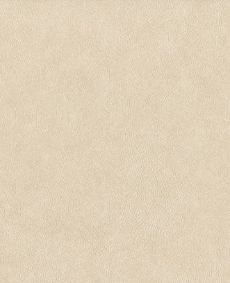 Bild på Reunited - 372519