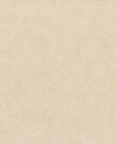 Picture of Reunited - 372519