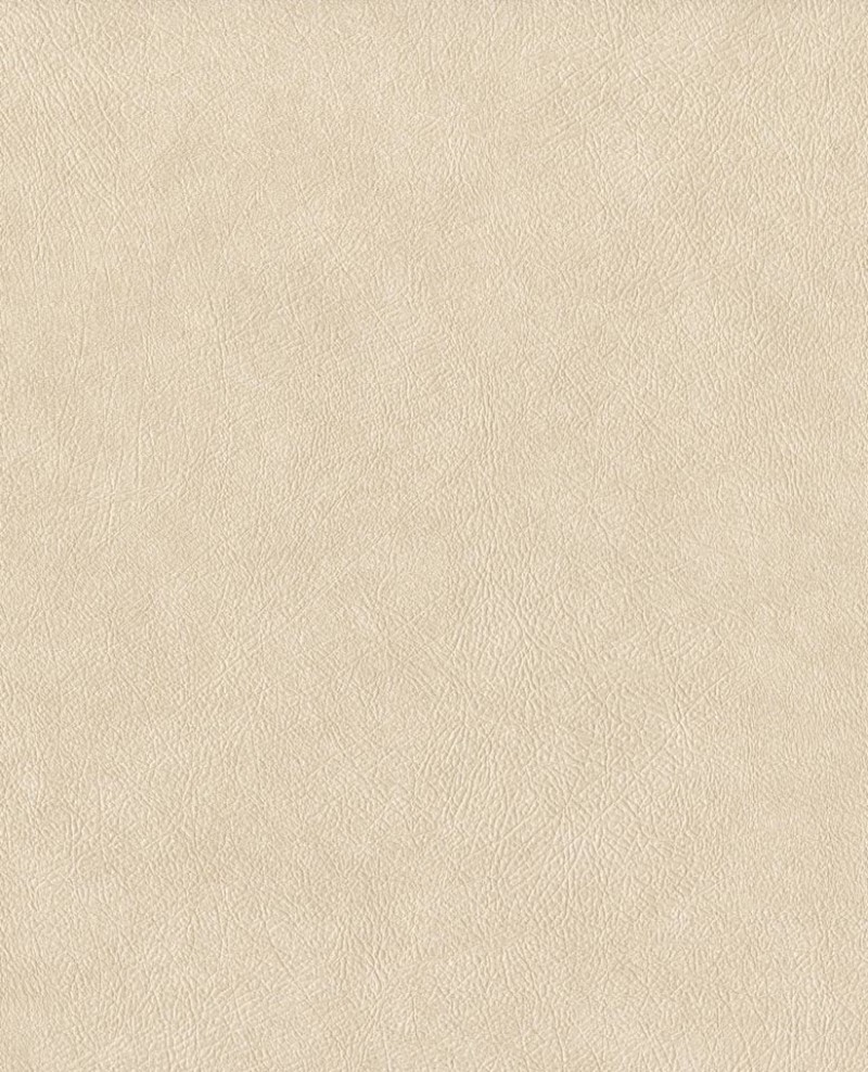 Picture of Reunited - 372519