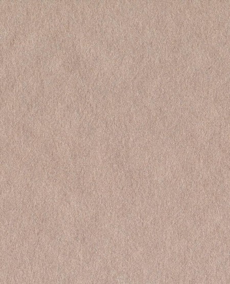 Picture of Reunited - 372577