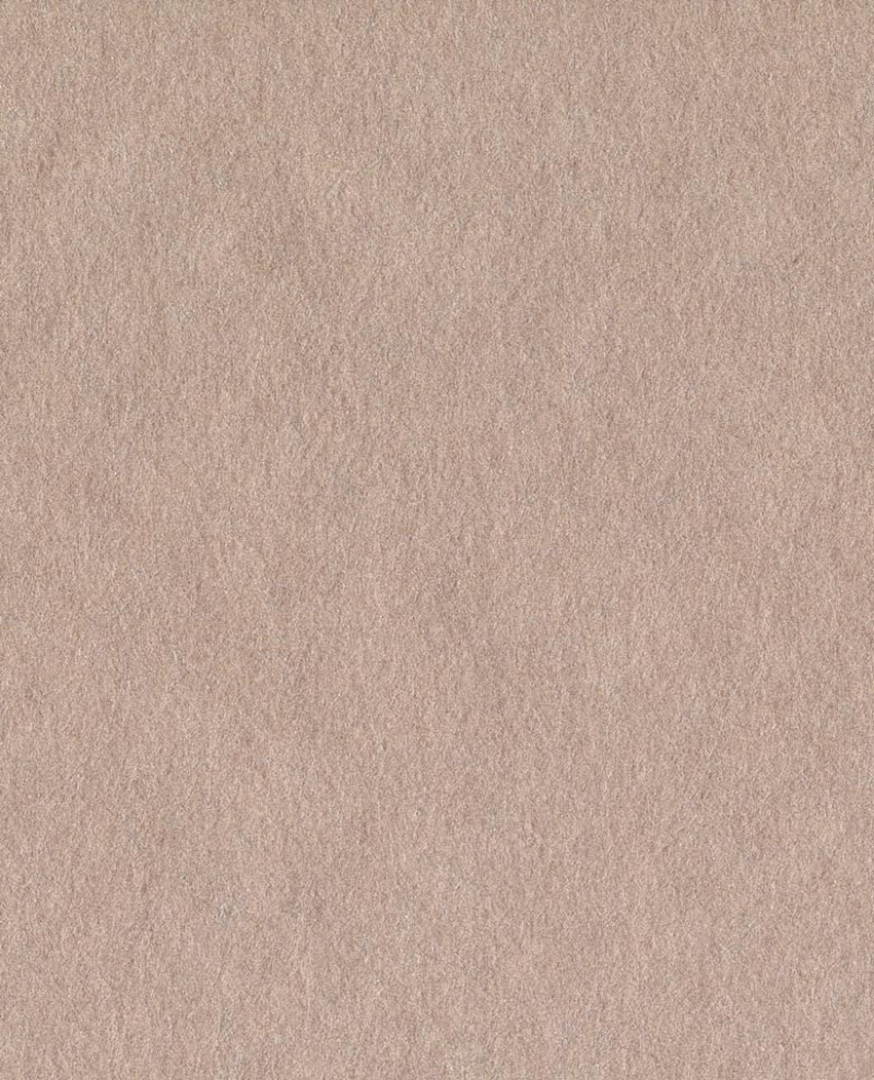 Picture of Reunited - 372577