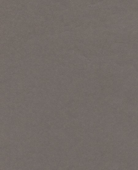 Picture of Reunited - 372528