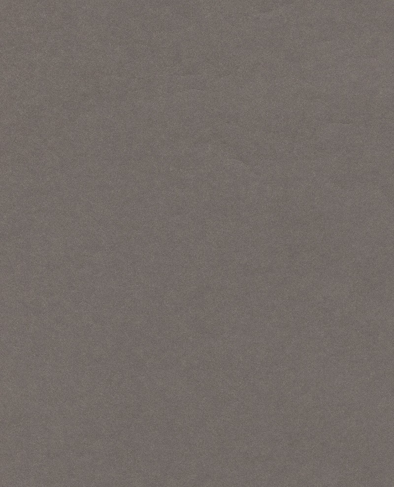 Picture of Reunited - 372528