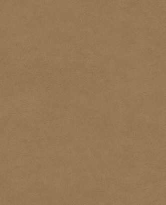 Bild på Reunited - 372500