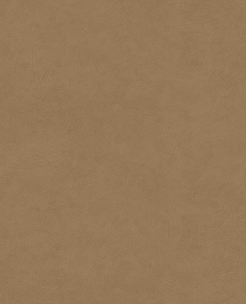 Picture of Reunited - 372500