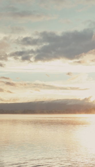 Bild på Lino - 379103