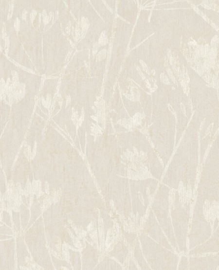 Afbeeldingen van Lino - 379050