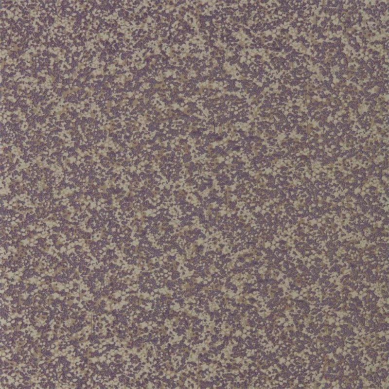 Picture of Coral - EANV111870