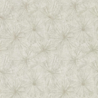 Bild på Illusion - EANV111855