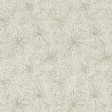 Image de Illusion - EANV111855