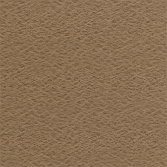 Afbeeldingen van Pumice - EANF111377