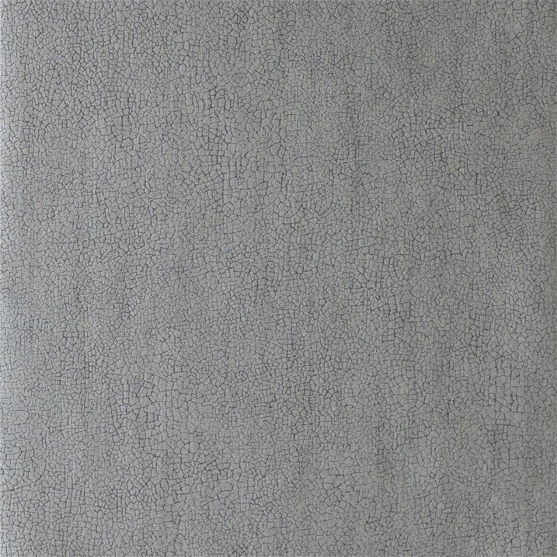 Image de Igneous - EANT111143