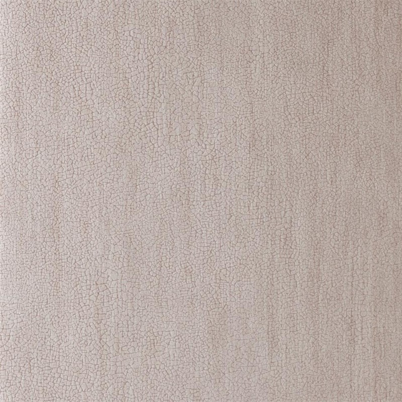 Image de Igneous - EANT111139