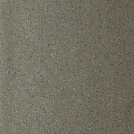 Picture of Foxy - ETES110742