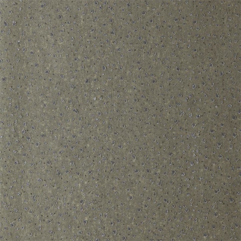 Image de Foxy - ETES110742