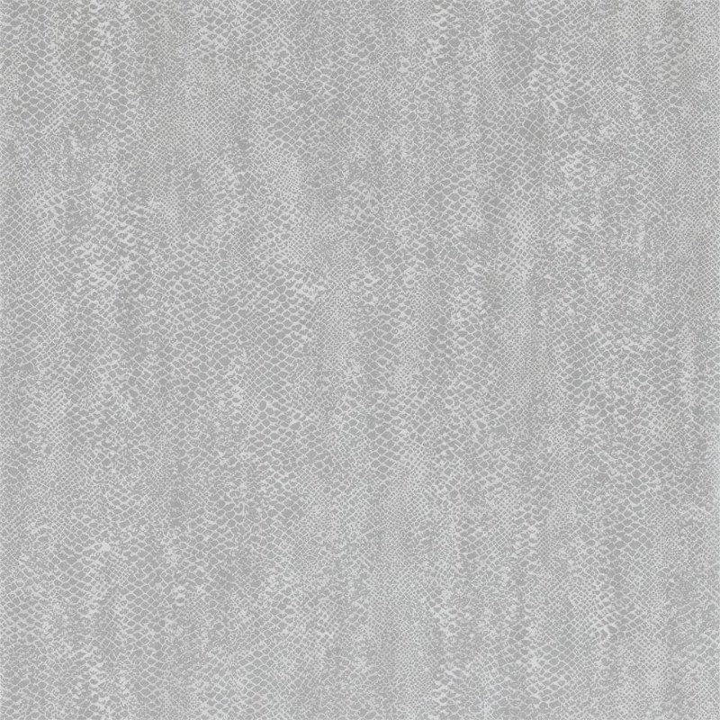 Picture of Anaconda - ETES110707