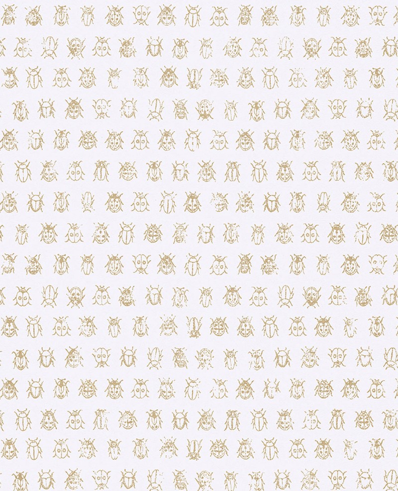 Picture of PIP 2016 - 375030