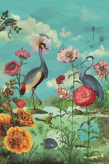 Picture of PIP 2014 - 341099