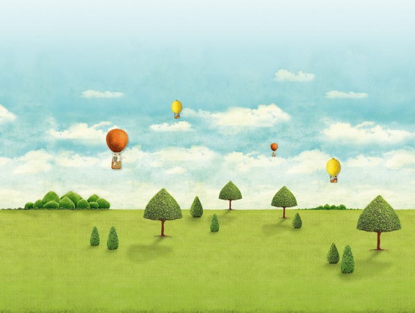 Picture of PIP 2014 - 341098