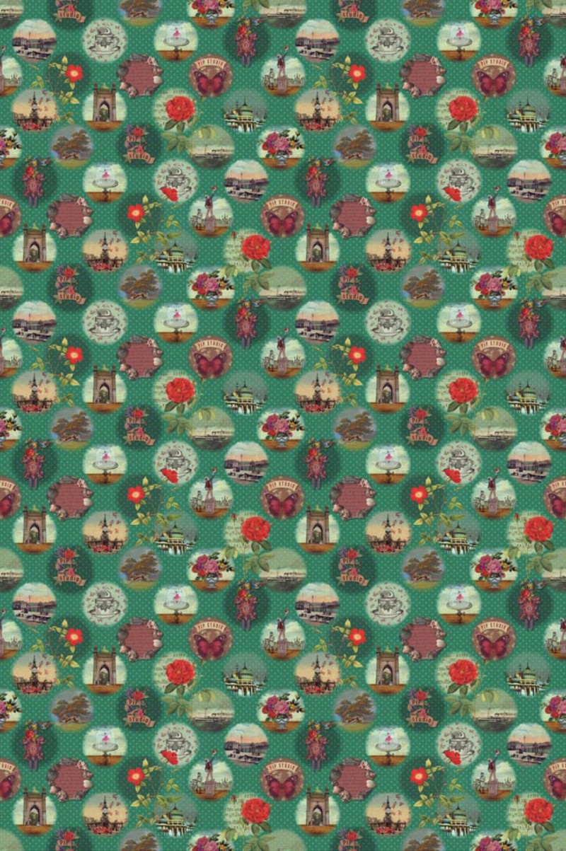 Picture of PIP 2014 - 341095