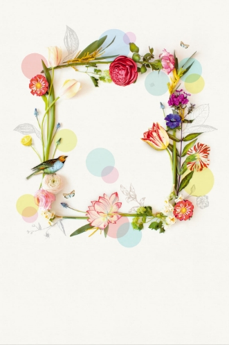 Afbeeldingen van PIP 2014 - 341089