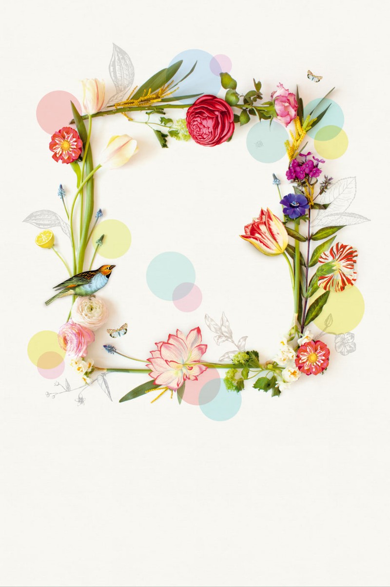 Picture of PIP 2014 - 341089