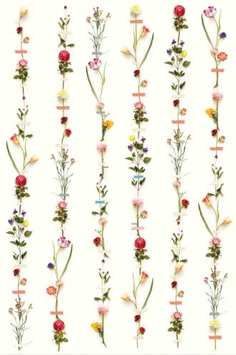 Afbeeldingen van PIP 2014 - 341087