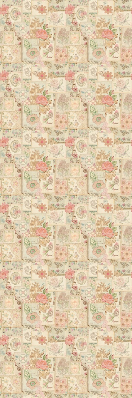 Picture of PIP 2014 - 341081