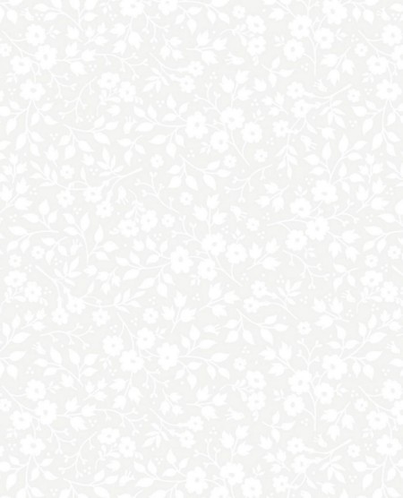 Picture of PIP 2014 - 341066