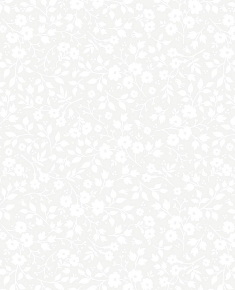 Picture of PIP 2014 - 341066