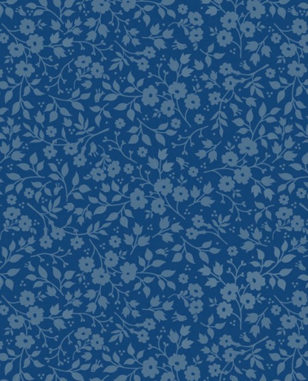 Picture of PIP 2014 - 341065